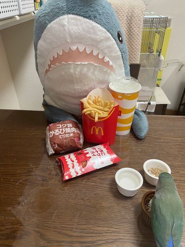 さめこだよ🦈
最近ゆのの調子悪くてさめこ子守り疲れたの
やっと今日さめこのリクエスト聞いてもらえたの！！！
いちごショートケーキはべるさんにバレないようにそーっと隠して食べたよ！！！！