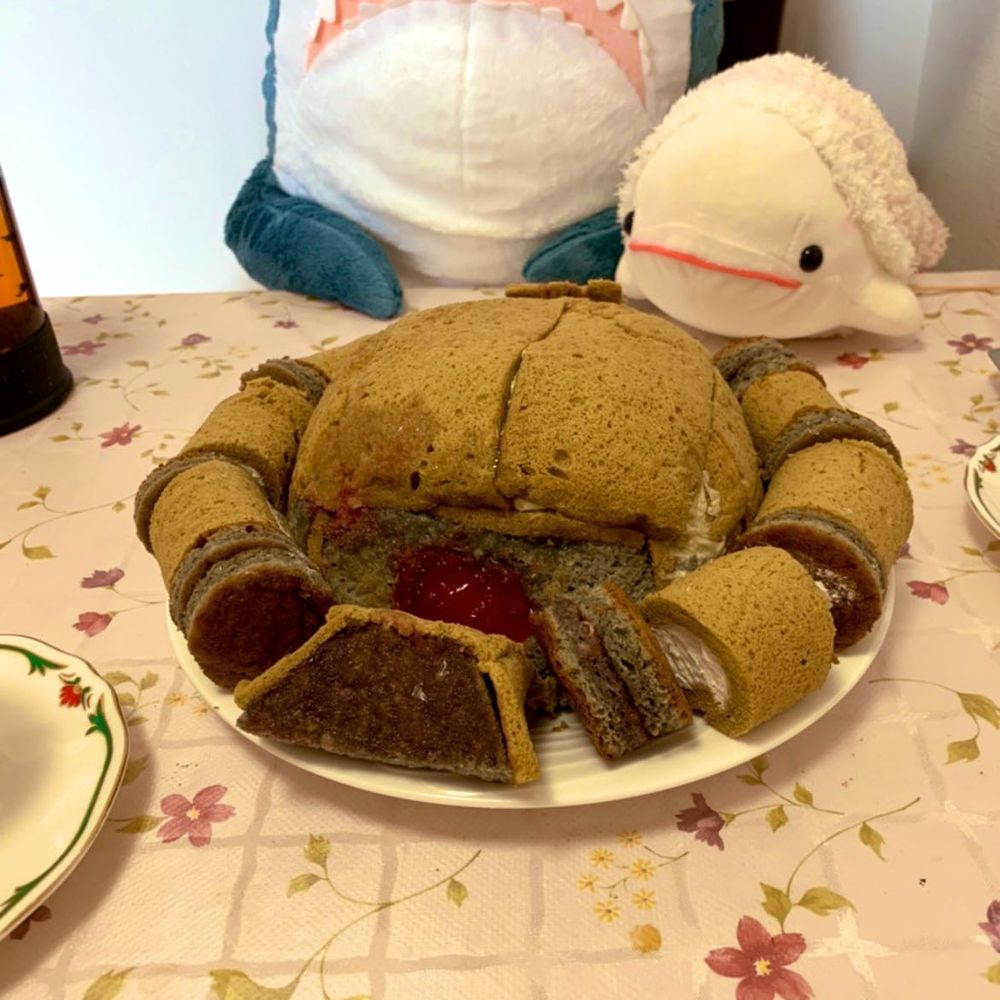 スマホさんがオススメに出してきた昔の写真だよ
1枚目はべるさんがゆのんちに来たばっかの頃にゆのとケンカした時の。べるさんおもっきりかんでやったの！

2枚目はさばらん？っていうのをゆのが作ったときのやつ
お酒がたくさんしみしみでべるさん食べれなかったんだよねぇ

3枚目はゆのがザクIIつくる！って作ってたやつ。中いちごのムースだったよ