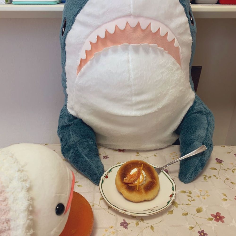 スマホさんがオススメに出してきた昔の写真だよ
1枚目はべるさんがゆのんちに来たばっかの頃にゆのとケンカした時の。べるさんおもっきりかんでやったの！

2枚目はさばらん？っていうのをゆのが作ったときのやつ
お酒がたくさんしみしみでべるさん食べれなかったんだよねぇ

3枚目はゆのがザクIIつくる！って作ってたやつ。中いちごのムースだったよ