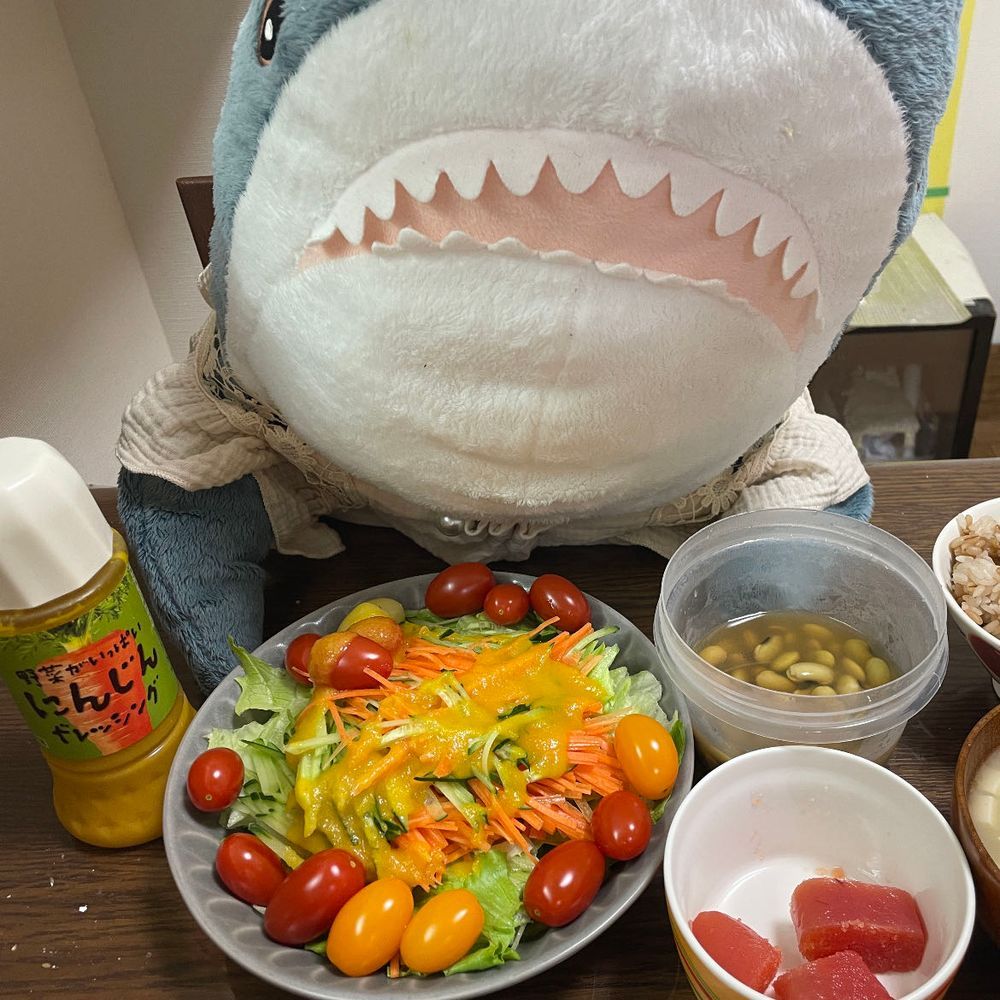 さめこだよ🦈
べるさんがKALDI連れて行ってもらったの！！って楽しそうに帰ってきたんだけど、お菓子買ってもらえなかったことをしょんぼりしてたよ
夜ごはんにKALDIで買ってきたゆのの好きなにんじんドレッシングをたっぷりかけたサラダを出したら、べるさんが「えー」って言ってどこかに行ってしまったよ
夜ごはんいらないのかなぁ