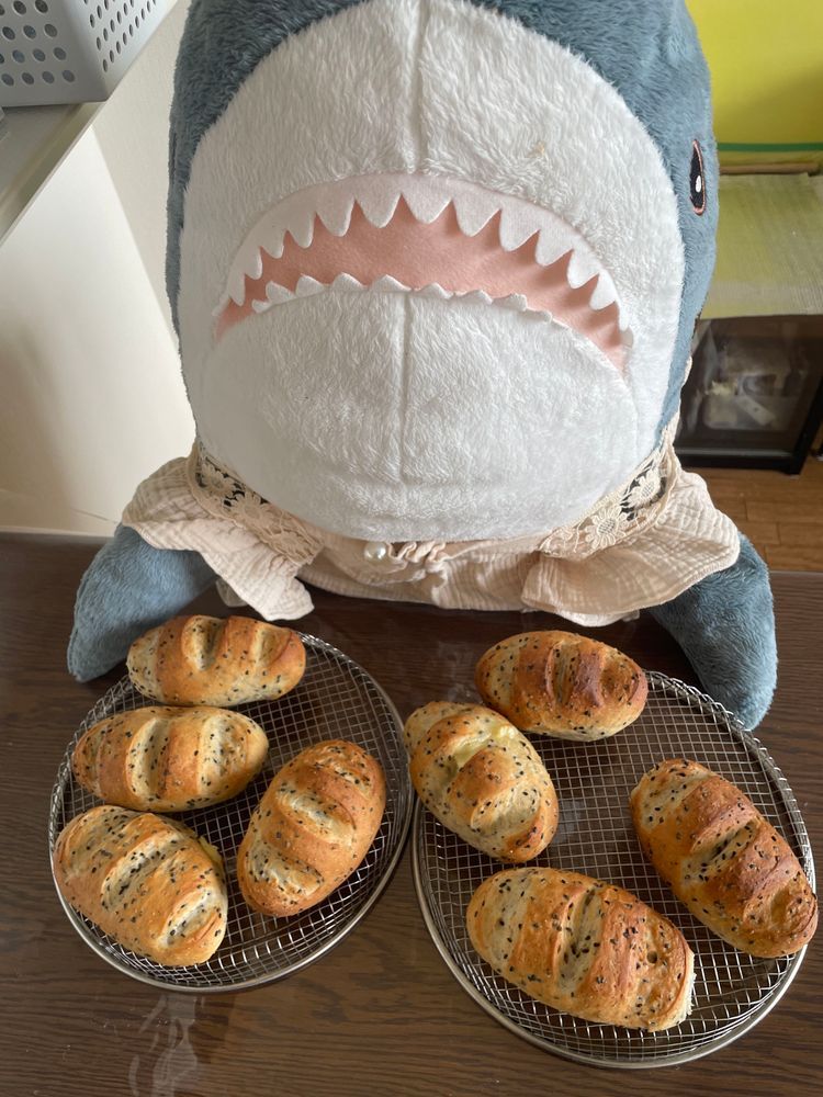 さめこだよ🦈
今日ねぇ、さめちょきパン店オープンしてたの
ドライトマトとローズマリーのフォカッチャとごまチーズのソフトフランスだよ
近所にある公園でべるさんが仲良しになった黒羽組の組員さんたちに人気でゆのに「カラスさんたち相手にベランダでお店開くのやめて！」って怒られちゃったよ
さめこゆのにいい？って聞いたのに！
すいちゃんは大きいカラスさんに「ここすいちゃんちなので！！」って喧嘩売ってたけど軽くあしらわれてたよ