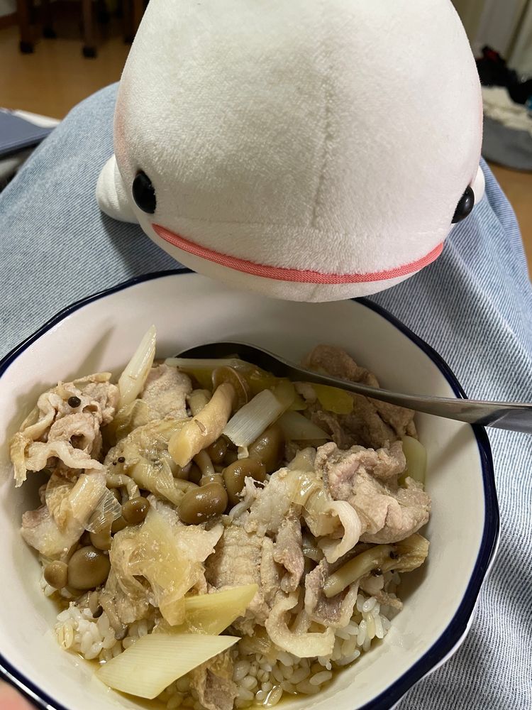 ゆのが二日くらいなんかを一生懸命ちくちくやってるからご飯の時間忘れられててべるさん何度も催促に行ってとっても疲れたの
これはやっと食べれたやつなの
冷凍庫にしまわれてたワンタンと生麺をラーメンにしてもらったのと、冷凍庫に入って忘れてた豚丼だよ