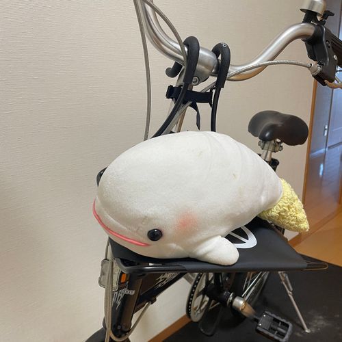 ゆのが自転車にべるさん専用の台をつけてくれたの！！！
これでべるさん風になれるの！！！
ゆのが取り付けるの楽しく見てたら、さめこおねぇちゃんとぼんじりが楽しく日光浴してたよ
べるさんもお誘いされたけど、お断りしたよ
なんで暑いとこ好きなんだろ？
