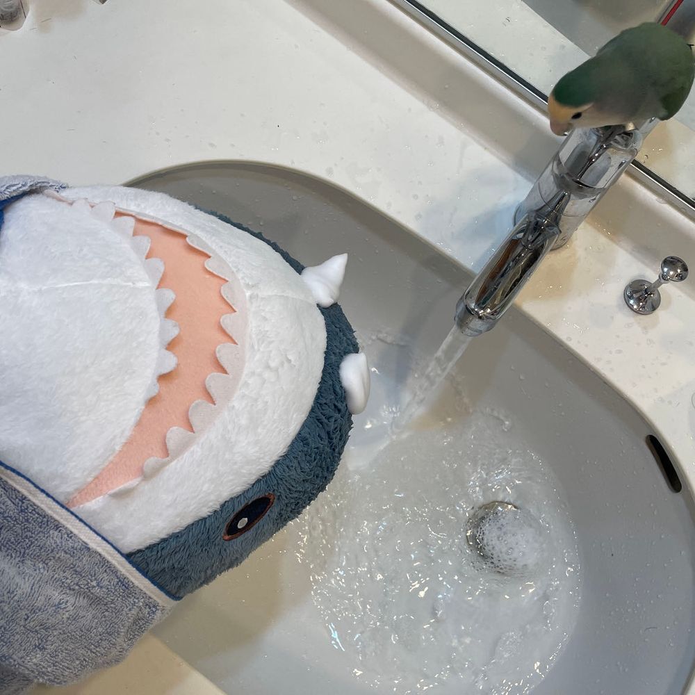 すいちゃんがイスのカバーとさめこの頭に好き好きってけろけろしたから、ゆのに洗って貰うことにしたの
困った弟なの
ゆの美容院オープンなの
気持ちよかったー
さてさめこ今日この後日向ぼっこしてくるの