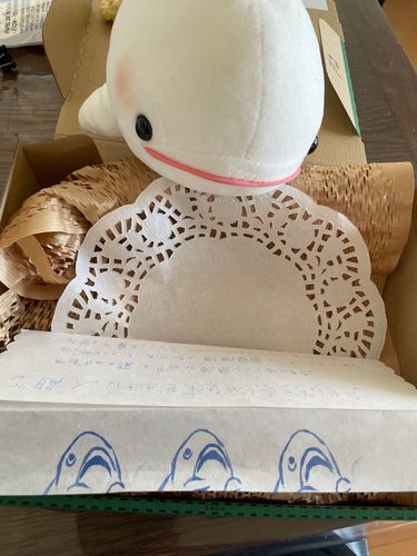 この間メルカリに出したぼんじりのおもちゃが売れたから箱詰めしてたらね、ゆのに「べるさんどっかに家出するの？ちゃんと帰ってくるんだよー。あ、でもその箱じゃべるさん入らないんじゃない？」って言われたの！！！
べるさんこの箱入れるもん！
家出の予定無かったけど家出してやるもん！！！！！