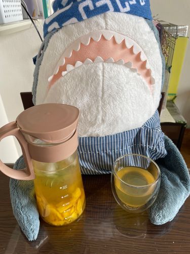 さめこだよ🦈
ゆのがなにか大きな紙を広げてごそごそしてるからべるさんが興味津々で邪魔してるのを聞きながらさめこはゆっくりパイナップルミントティーでお茶してるよ🍍
久々にお天気いいからさめここれから日光浴しようかなぁ