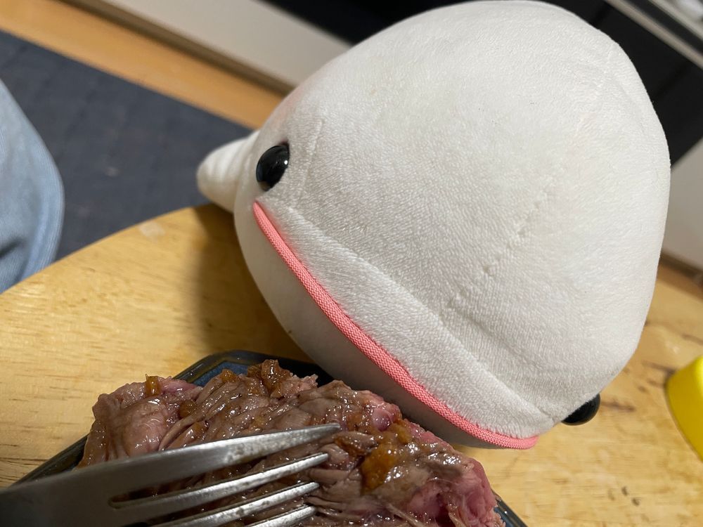 べるさんね！冷蔵庫にね！！
おにく！！！みつけたの！！！！！
ゆのにバレないようにおにく焼いて食べようとしたらお口に入れる前に見つかっちゃったよ！！！(2枚目の写真)
ひとりでガス台つかうのダメって約束したの覚えてない？ってゆのに聞かれたけど、それよりおにくなの！！！！！！！
べるさんお肉たくさん食べれて幸せなの！！！
ゆのがなんか言ってるけど、べるさん幸せだからいいの！！！！