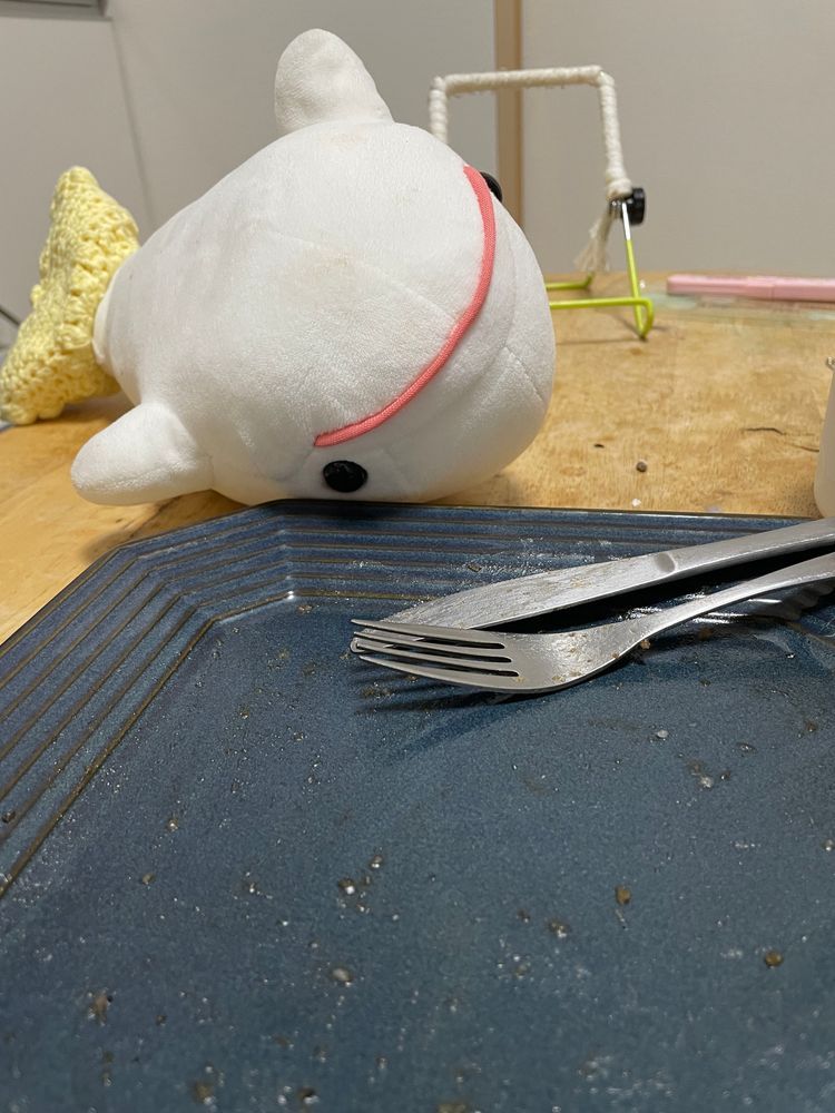 べるさんね！冷蔵庫にね！！
おにく！！！みつけたの！！！！！
ゆのにバレないようにおにく焼いて食べようとしたらお口に入れる前に見つかっちゃったよ！！！(2枚目の写真)
ひとりでガス台つかうのダメって約束したの覚えてない？ってゆのに聞かれたけど、それよりおにくなの！！！！！！！
べるさんお肉たくさん食べれて幸せなの！！！
ゆのがなんか言ってるけど、べるさん幸せだからいいの！！！！