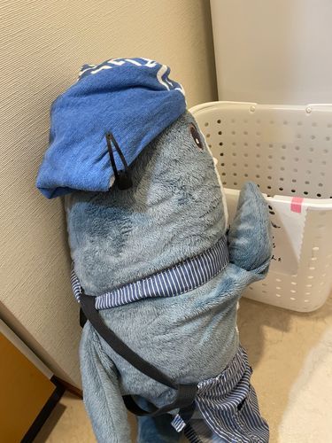 さめこだよ🦈
べるさんが怒られてるよ
お肉の件で…😮💨࿔
ほんと毎回べるさんは何やってるんだろうってさめこ思うの
べるさんは「すいちゃんに逃げるの助けて」ってお願いしてたみたいだけど、すいちゃんは「ゆのがポップコーンあげるからべるさんのこと助けるのダメって約束したもん!」ってお話してさめこに報告に来たよ