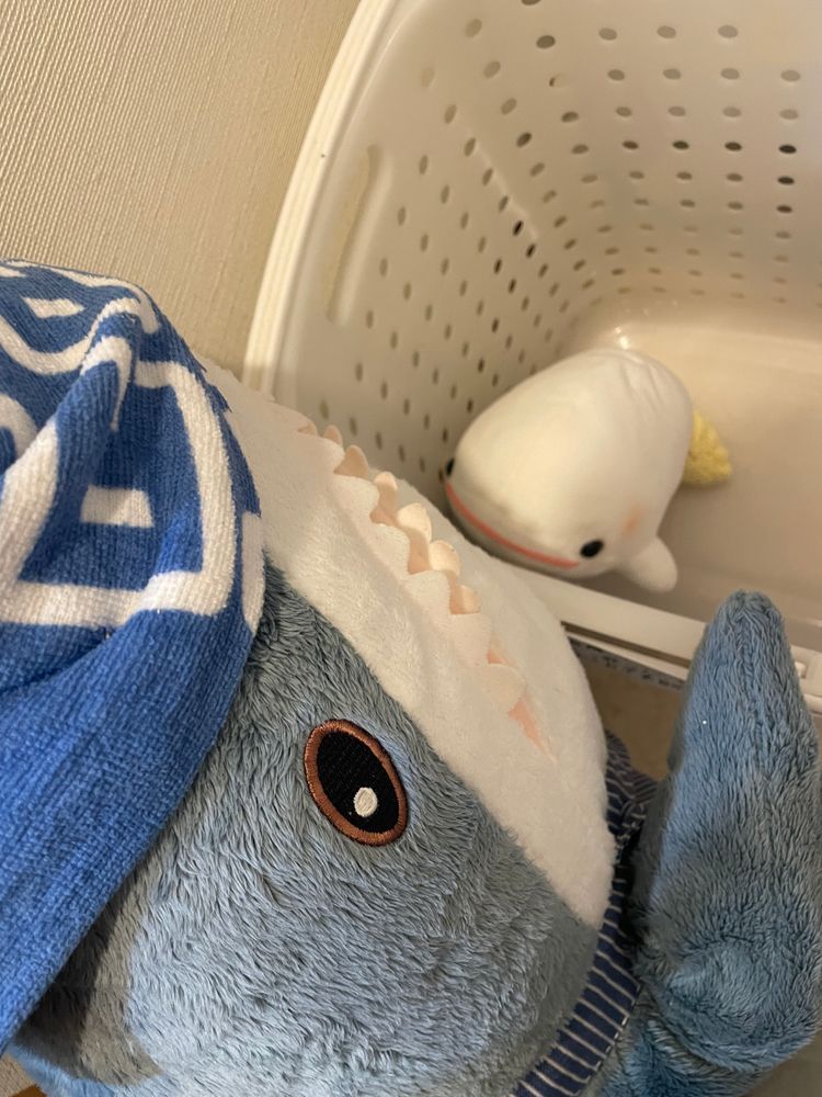 さめこだよ🦈
べるさんが怒られてるよ
お肉の件で…😮‍💨࿔
ほんと毎回べるさんは何やってるんだろうってさめこ思うの
べるさんは「すいちゃんに逃げるの助けて」ってお願いしてたみたいだけど、すいちゃんは「ゆのがポップコーンあげるからべるさんのこと助けるのダメって約束したもん！」ってお話してさめこに報告に来たよ