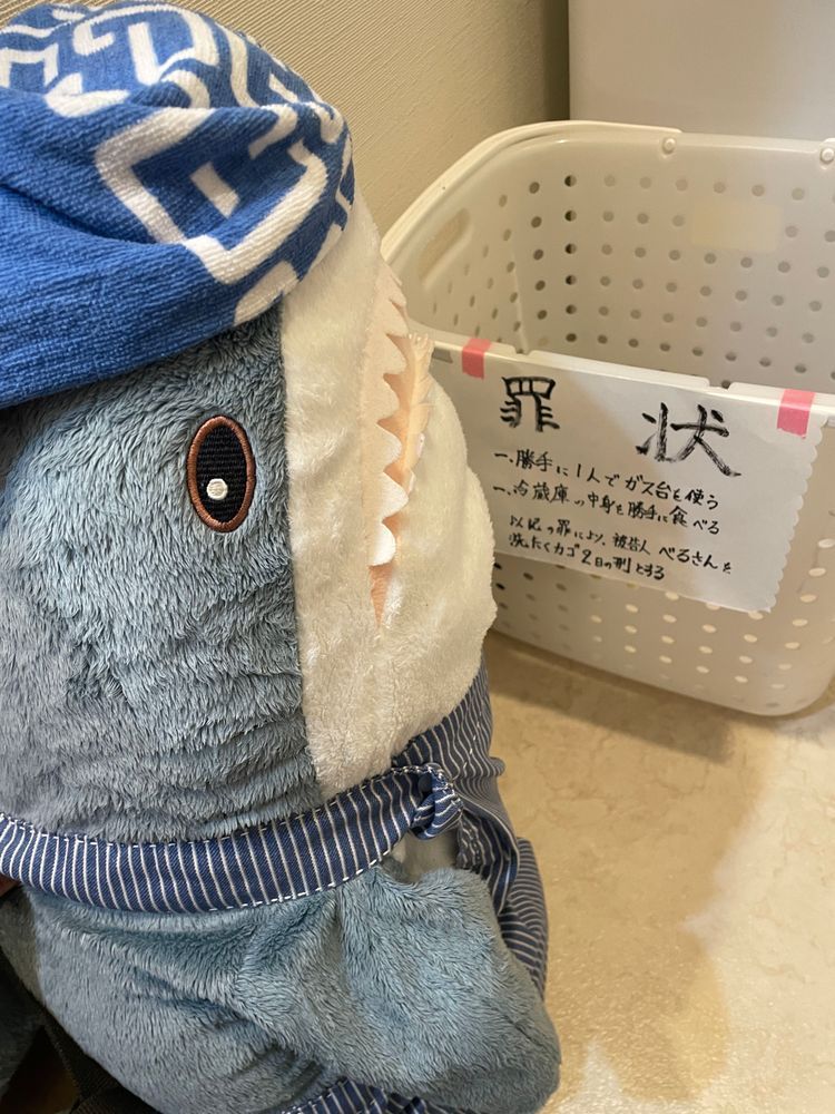 さめこだよ🦈
べるさんが怒られてるよ
お肉の件で…😮‍💨࿔
ほんと毎回べるさんは何やってるんだろうってさめこ思うの
べるさんは「すいちゃんに逃げるの助けて」ってお願いしてたみたいだけど、すいちゃんは「ゆのがポップコーンあげるからべるさんのこと助けるのダメって約束したもん！」ってお話してさめこに報告に来たよ