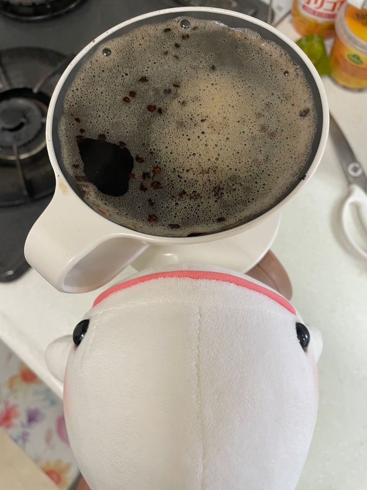 べるさん昨日はひどいめにあったの！！
今日はゆのがオルゾラテ作るって言うから横で見てたよ
ゆのに「火を使ってる時はもう10cm離れる！」って何回も言われたけど、べるさん近くで見たかったんだもん！！！
本当は専用の粉買えたらいいんだけどないから、麦茶からつくるよ！
煎られて煮て、コーヒーフィルターでこされて、つめたくして牛乳いれて完成なの！！！
べるさんも飲めるコーヒーなの！
おいしいの！！！