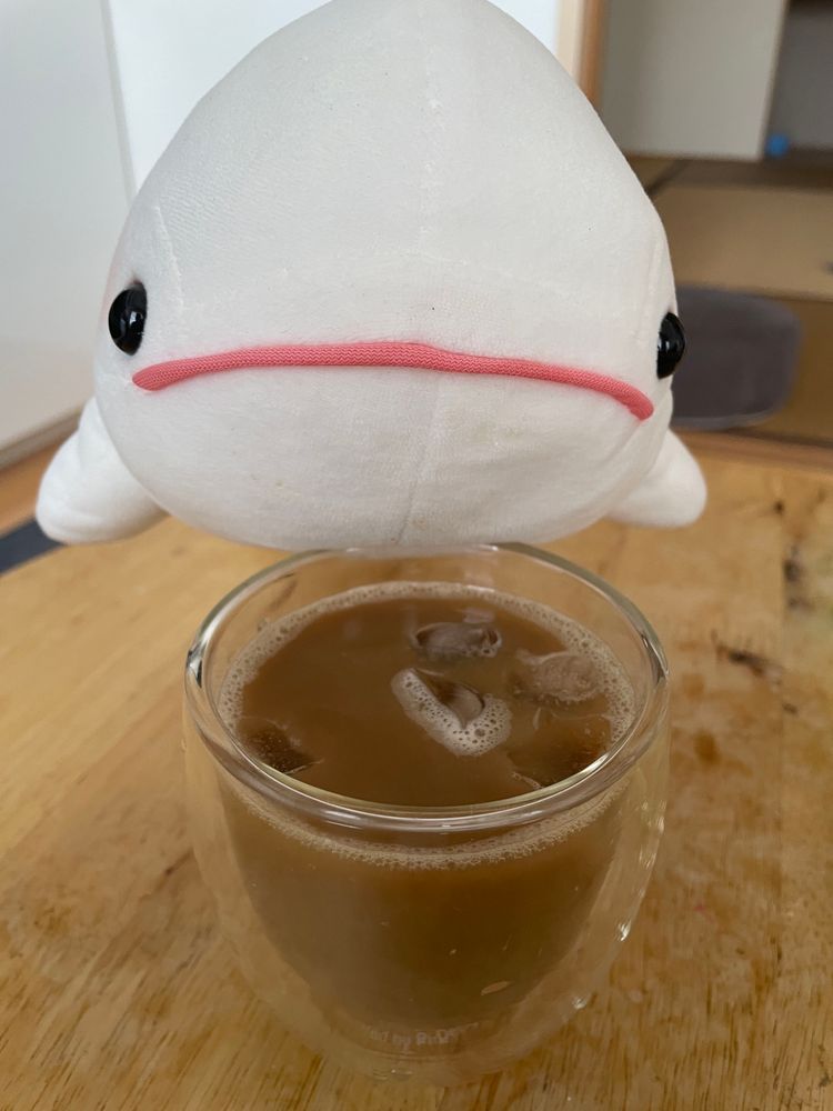 べるさん昨日はひどいめにあったの！！
今日はゆのがオルゾラテ作るって言うから横で見てたよ
ゆのに「火を使ってる時はもう10cm離れる！」って何回も言われたけど、べるさん近くで見たかったんだもん！！！
本当は専用の粉買えたらいいんだけどないから、麦茶からつくるよ！
煎られて煮て、コーヒーフィルターでこされて、つめたくして牛乳いれて完成なの！！！
べるさんも飲めるコーヒーなの！
おいしいの！！！