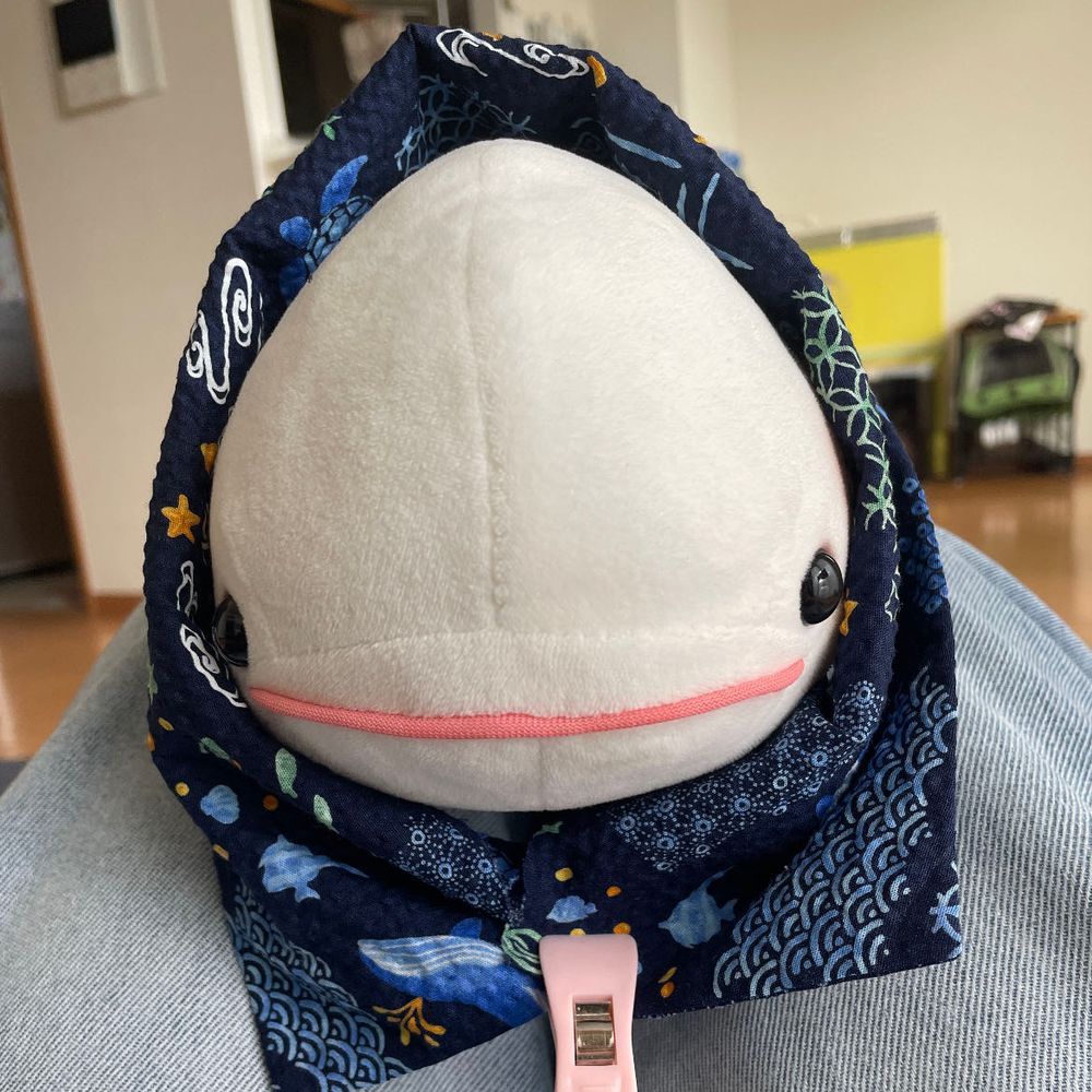ゆのの挑戦なの
さめこおねぇちゃんがため息つきながらゆののお手伝いしてるよ
アイロンかけるのさめこおねぇちゃんのほうが上手いから頼んだってゆの言っててさめこおねぇちゃんがためいきついてるの
布全部切ったんだって
あと縫うだけなんだって
ということはこれはべるさんのやつ！！