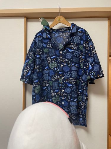 ゆののチクチクするのやっと終わったらしいの!!
べるさんとぼんじりでしっかり隅々までチェックしたよ!
さめこおねぇちゃんが「これさめこのだよねー?ゆのありがと!」とか言っててゆのとケンカしてたんだけど、べるさんお腹すいたからお肉食べるの!
お鍋にお肉あったからしかたないの!!