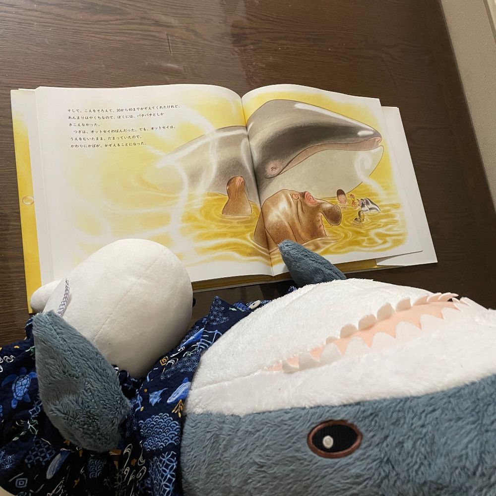 さめこだよ🦈
絵本作家さんがお亡くなりになったニュースを見て、べるさんがゆのの本棚からその作家さんの絵本持ってきたよ
べるさん自分で読めるくせに「べるさんね、読んでほしいの!!」って甘えてきて、さめこ真剣に読んであげたよ
すいちゃんがさっきまで甘えてなでてってしてたから、べるさんヤキモチやいたのかなぁ
ちっちゃいゆのが好きだった本らしいんだけど、ちっちゃいゆのはこの絵本に出てくるプッカちゃんがおうちにきてほしいなぁって思ってたんだってさ
さめこはね、シャボン玉がすごく綺麗でこの絵本すきなんだ