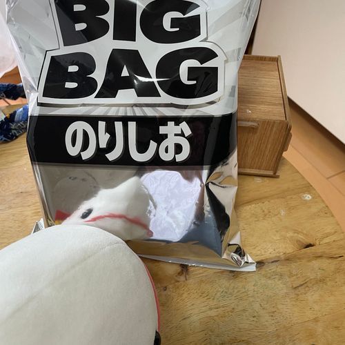 ゆののお買い物について行って買ってもらったのー!
だから流行りにのってべるさんたち書いてもらったよ!
でもね、ゆのが「タイトルは勝手に食べるべるさんと怒るさめこと言いつけたぼんじり」っていうの!
べるさん勝手に食べないもん!!!!って言ったらゆのに「そんな嘘つかないの」って怒られたの!べるさん嘘ついてないもん!!!!