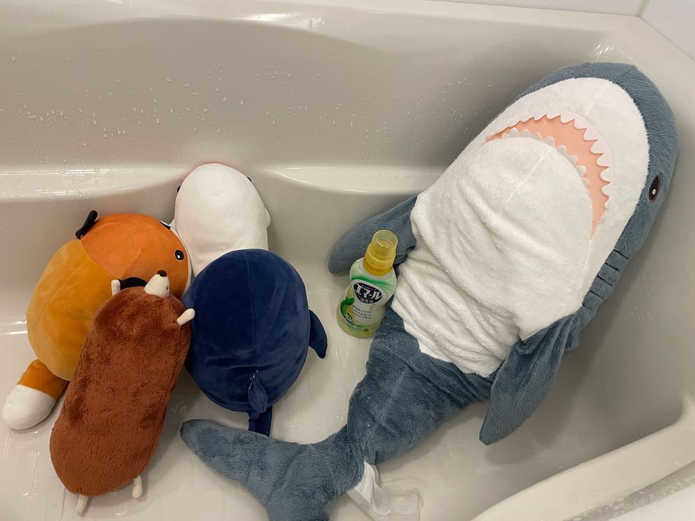 さめこだよ🦈
ゆのにお風呂にしよっかーって言われていつも通りべるさんが大暴れ中だよ
すいちゃんも「すいちゃんもお風呂入る！」ってご機嫌でついてきたよ。
先に入りたいとかなでて乾かしてとかわがまま言うからすいちゃんが先に洗われてお風呂から出ていったんだけど、べるさんが今大泣きしてうるさいの
お風呂響くからご近所さんにご迷惑かけてないかさめこ心配