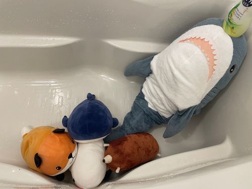 さめこだよ🦈
ゆのにお風呂にしよっかーって言われていつも通りべるさんが大暴れ中だよ
すいちゃんも「すいちゃんもお風呂入る!」ってご機嫌でついてきたよ。
先に入りたいとかなでて乾かしてとかわがまま言うからすいちゃんが先に洗われてお風呂から出ていったんだけど、べるさんが今大泣きしてうるさいの
お風呂響くからご近所さんにご迷惑かけてないかさめこ心配
