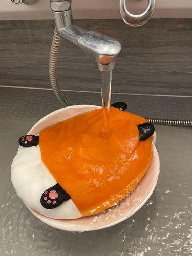 みんなでうたせ湯して洗濯機ジェットコースターしたの
ゆのにもっとシャワー浴びたいから蛇口捻ってって言ったのに「私もびしょびしょだから早く出たいからだめ」って言われたの
しかたなく洗濯機に入ったらゆのに「さめんないと」って笑われたよ