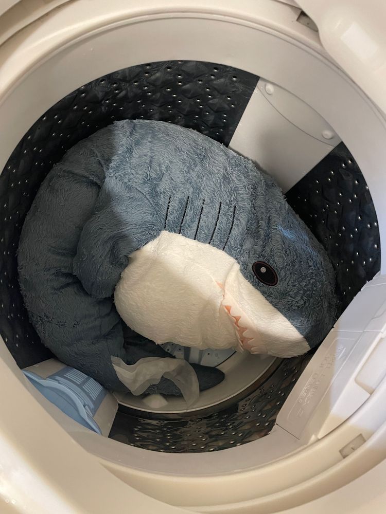 みんなでうたせ湯して洗濯機ジェットコースターしたの
ゆのにもっとシャワー浴びたいから蛇口捻ってって言ったのに「私もびしょびしょだから早く出たいからだめ」って言われたの
しかたなく洗濯機に入ったらゆのに「さめんないと」って笑われたよ