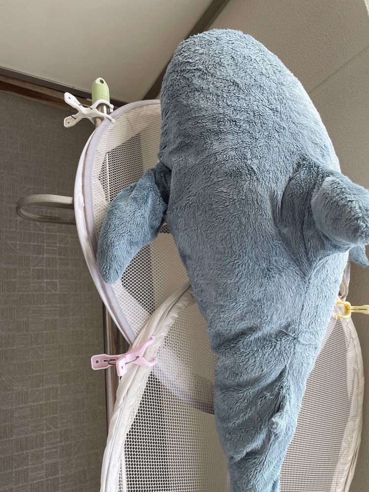 さめこだよ🦈
やっとみんなで干されることになったよ
べるさん大泣きして大暴れ大変だったよ
ゆのなんかTシャツびっしょりになってお着替えしてたよ
すいちゃんも一緒に干されて満足そうだよ