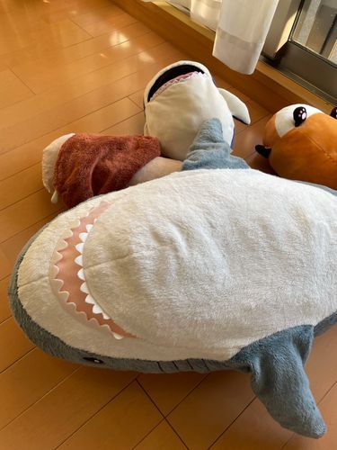 べるさんひどいめにあったの!!!!
今日ゆのが無理やりお風呂に連れてくからべるさん逃げる暇もなくてほんと頭に来るの!!!
べるさんお肉を欲求しようと思うの!!!!
さめこおねぇちゃんたちは「ととのったー」ってクーラーの真下でゴロゴロしてるけど、べるさんはアイス食べるよ!!!
1本だけじゃ足りないからもう1本たべてやるの!!!!!!