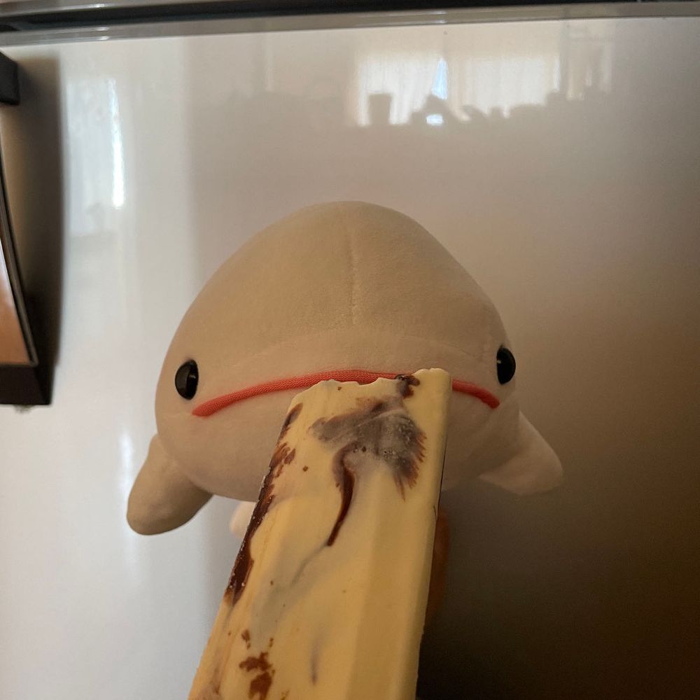 べるさんひどいめにあったの！！！！
今日ゆのが無理やりお風呂に連れてくからべるさん逃げる暇もなくてほんと頭に来るの！！！
べるさんお肉を欲求しようと思うの！！！！
さめこおねぇちゃんたちは「ととのったー」ってクーラーの真下でゴロゴロしてるけど、べるさんはアイス食べるよ！！！
1本だけじゃ足りないからもう1本たべてやるの！！！！！！