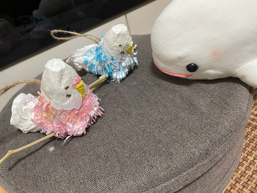 ゆのがぼんじり用おもちゃたくさん作ってて、べるさんメルカリに出すようにお願いされたよ
ピニャータっていうスペインとかでお誕生日とかに中にお菓子とかおもちゃとか入ってて棒で叩いて壊して中身を取り出すおもちゃらしいんだけど、鳥さん用に中身紙くずなんだってさ
べるさんはお菓子入っててほしかったよ！！！！
今ね、どんなおうちに行きたいかとかをピンク1号と青1号に聞いてるとこなの
チャームポイントはって聞いたらも「ふもふのおちり！」っていうの。
絶対ゆのの趣味なの！！！