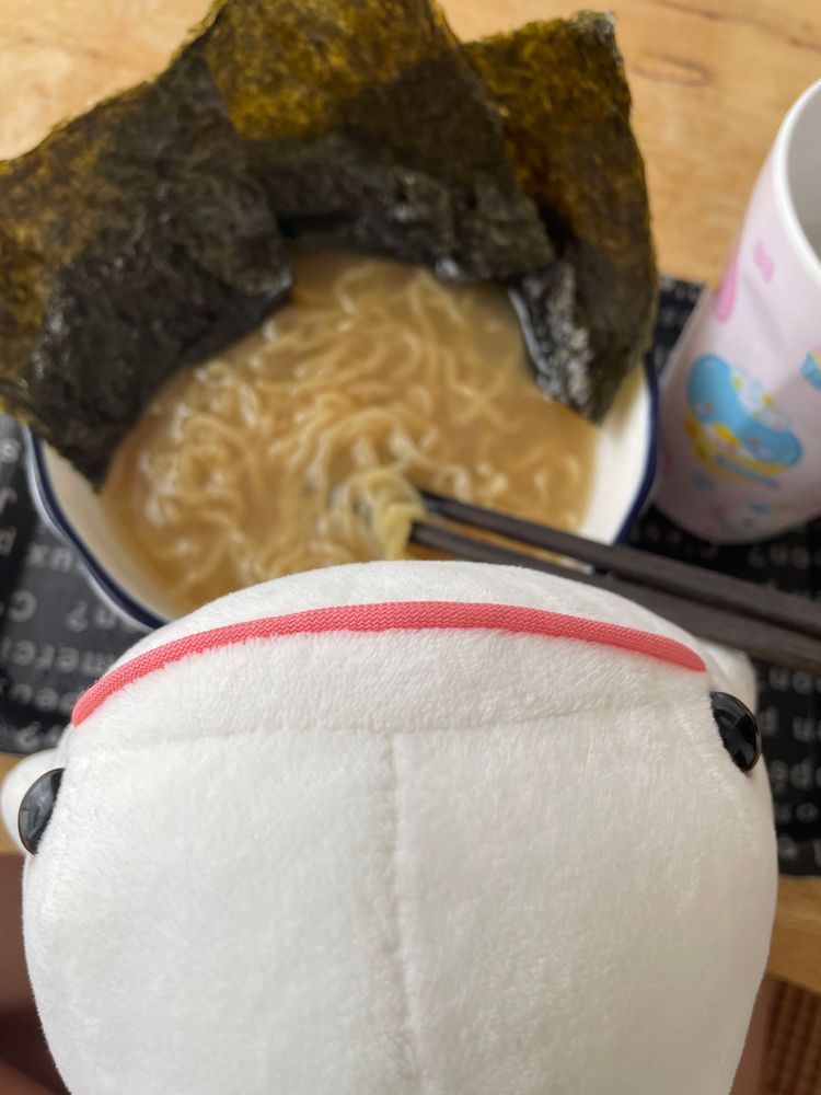 ゆのがね、ポイ活のアプリのくじ引き10回したらね、ラーメンが3個当たったの！
6食×3個！！
全部べるさん食べていいってことだよね！！！ゆの、あんまりラーメン食べないもんね！！
真剣に作り方べるさんみて覚えるの！で、トッピングのノリたくさんのっけめー、いただき…あれ？ゆの、どうしたの？？？？