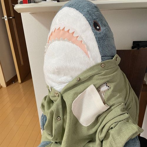 さめこだよー⋆⸜🦈 ⸝‍⋆
ゆのがお買い物行ってさめこの新しいお洋服買ってきてくれたの！！
さめこにこのカワウソさんもお魚型ボタンも良く似合うと思うんだけど、ゆのが「さめちゃんのじゃなくて私のなんだけど」っていうの。
だからさめこね、ゆのからこのお洋服貰うために塩ビスケットを作ってご機嫌取ろうと思ったんだけど、べるさんができた端からラッピングして、ゆのが昨日作ってたエコバックに入れていってるの。べるさんどこに持っていくんだろう…