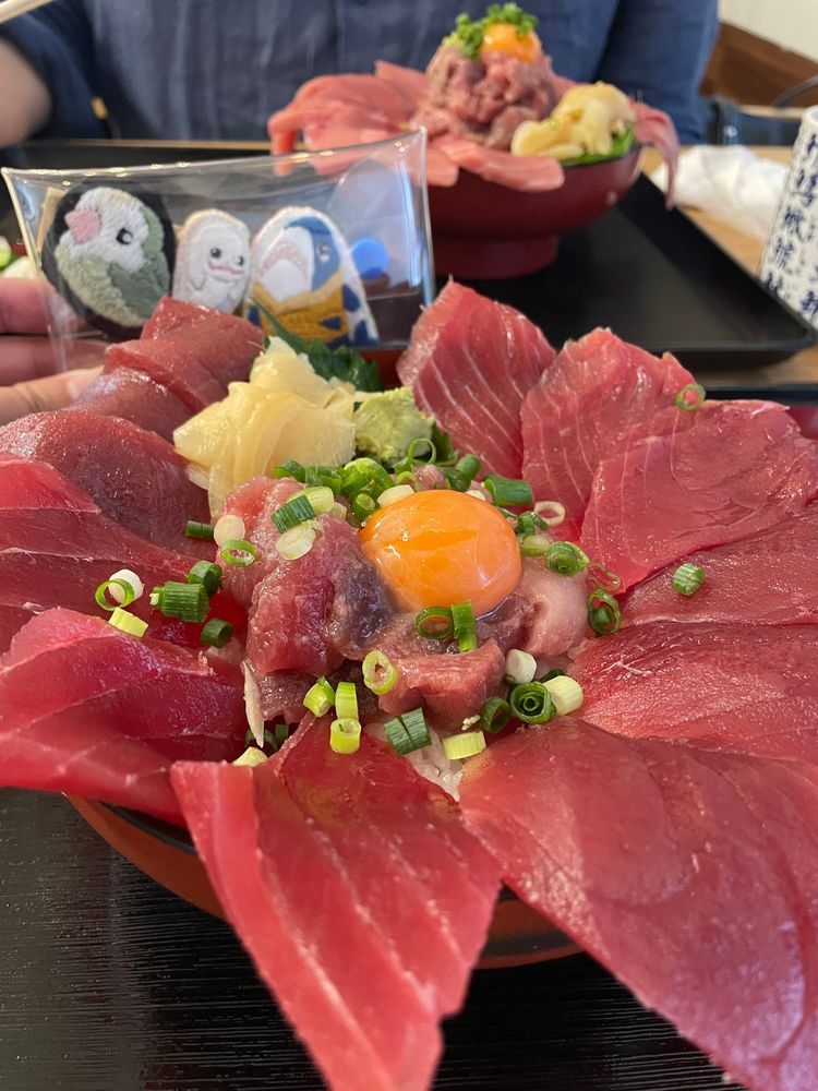 べるさんたち、今日は自転車乗ってお魚の匂いするところに来たよ！！
たっぷりマグロのどんぶり！！！！
べるさん二日連続で幸せなの！！！！