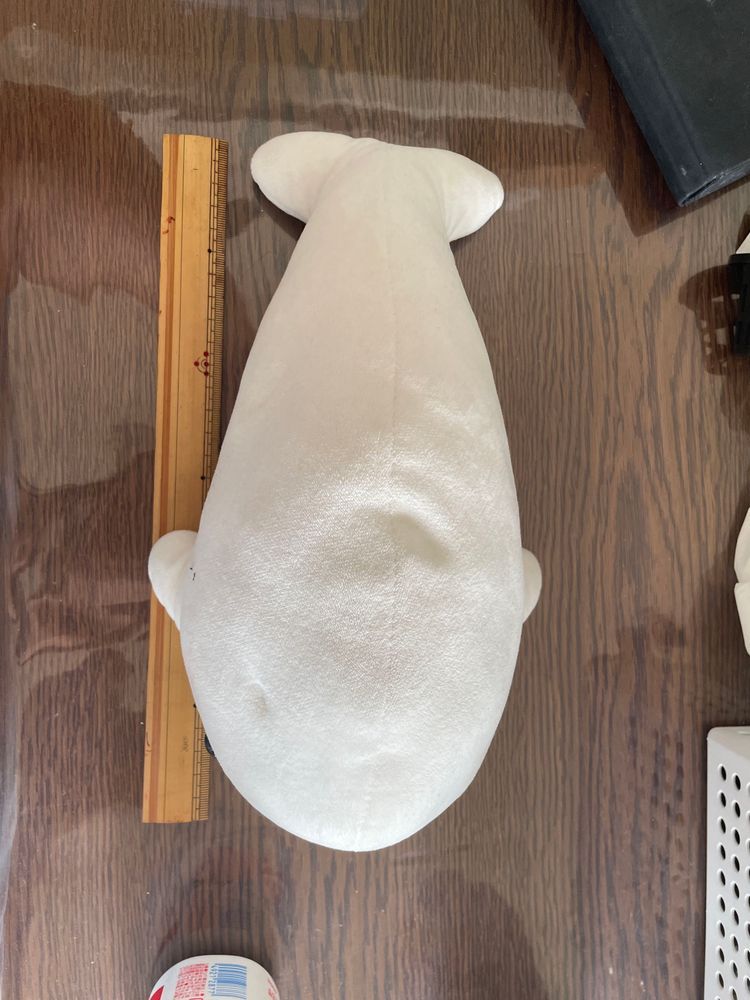 べるさんねぇ、プロフィール用にゆのに身長はかつてもらったの!
でね、最初モノサシ立てて測ってもらおうとしたらね、ゆのに「べるさんの場合身長はちがうよー。それ高さね。べるさんは魚拓バージョン」って言うの。なんか失礼なの!!
で、ぼんじりが「べるも体重はかるぅ?」とかいうからはかってたら、ぼんじりのやつ、べるさんの上に乗って「べるのでぶー」とかいうの!!
やなやつなの。べるさんの上から降りた後も「べる、僕の2倍あるからやっぱりでぶじゃん」っていうの
ゆのに怒ってもらったの!!!
最後にちゃんとゆのにはかってっていったら、「うーん、だいたい30センチだね」って適当なこと言うの
ちゃんとはかってよ!!!
べるさんおこなの!!