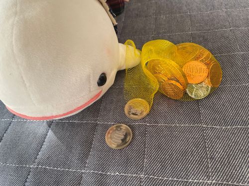 べるさんね、おかーさまに頼まれてスーパーにおつかいしにいったの!
970円だからおつりが30円になるんだって。べるさんね、おかーさまにべるさんのおこづかいから30円、お財布に返したの!!
どれが10円か分からないけど、おっきいキラキラだから大丈夫だと思うの!!!
この間ゆのが「べるさんにお財布あげるね。このお金は甘い匂いする特別なやつで100円と10円が入ってるからね。かじっちゃダメだよ」って言ってたの。
おかーさま喜んでたの!!
べるさんちゃんと一人でスーパー行ったんだけど重くて持てないからゆのに持って帰ってもらったよ。