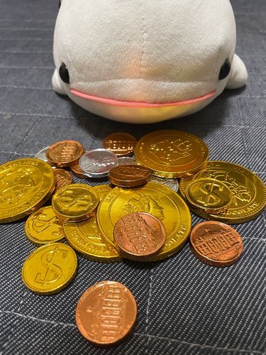 べるさんお金数えてたらゆのに「べるさん、なに悪い顔して笑ってるの?」って言われたの!
こんなにたくさんお金あったらセブンイレブンで色々買えそうなんだもん!!!