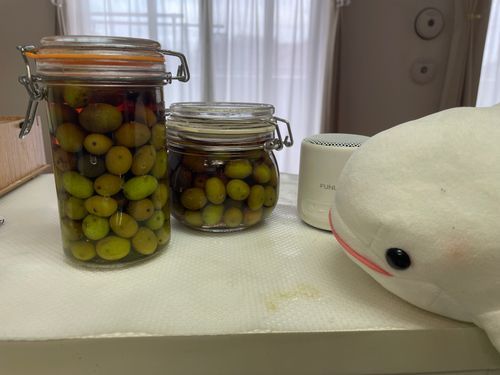 謎の丸いの、朝起きたらお水がお醤油色になってた!!!!
なんか美味しそうに見えるんだけど、まだ食べれないの?