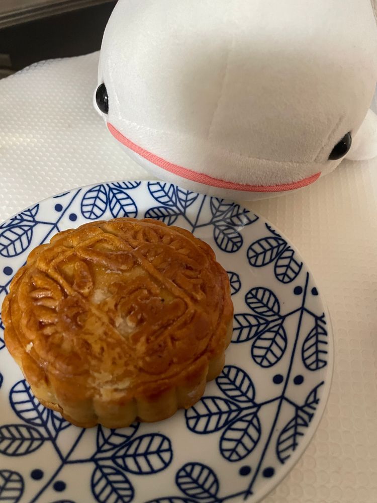 とーちゃんのいきつけの中華料理屋さんの店長さんご夫婦が中秋節で中国に帰ってたからお土産もらったのわけてもらったの！
山査子巻はゆのと取り合いになったんだけど、月餅はゆの「鹹蛋って書いてあるし苦手だからべるさん食べていいよ」っていわれてべるさんひとりで食べれたんだ！
木の実が色々入ってるタイプで美味しかったの！！