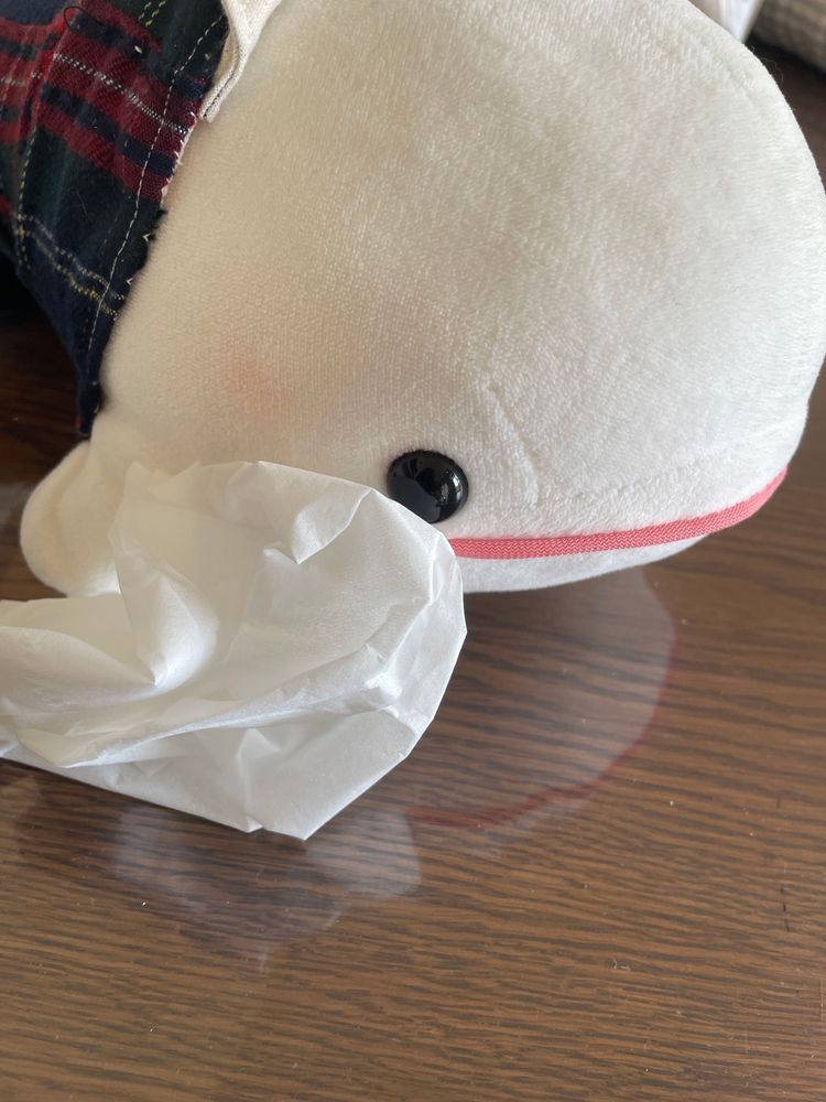 今朝、ぼんじりが「このメモシュレッダーしたら病院なくなるの！」とか言ってて、ゆのに「シュレッダーしても行くからね」って言われてたの。
ぼんじりに頼まれてしかたなくべるさん付き添いで動物病院に行ったんだけどさ…
なんかわからないけど、べるさんも健康診断させられたの…この間の公園の健康診断さぼったからって…
やなのに…ゆのに騙されたの…
動物病院の先生におやつもらってご機嫌なぼんじりとお会計待ってたらわんこのおうちの人にくすくす笑われたの…べるさんかわいそうなのにひどいの…
帰りにマクドナルド買ってもらったの。べるさんぼんじりと違ってマクドナルドで誤魔化されないもん！
