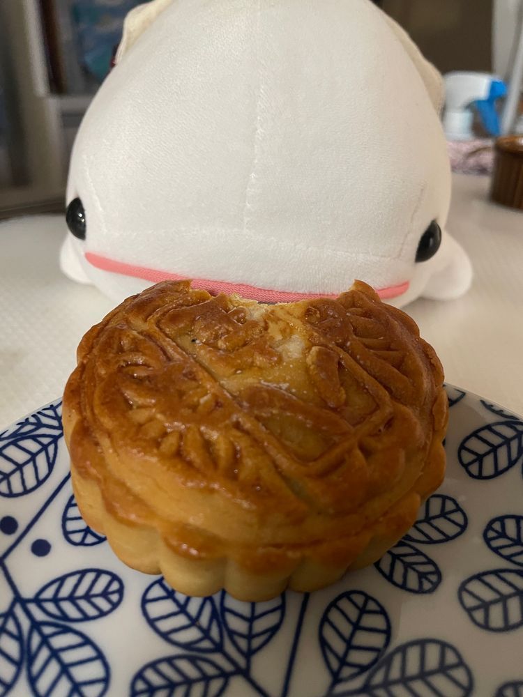 とーちゃんのいきつけの中華料理屋さんの店長さんご夫婦が中秋節で中国に帰ってたからお土産もらったのわけてもらったの！
山査子巻はゆのと取り合いになったんだけど、月餅はゆの「鹹蛋って書いてあるし苦手だからべるさん食べていいよ」っていわれてべるさんひとりで食べれたんだ！
木の実が色々入ってるタイプで美味しかったの！！