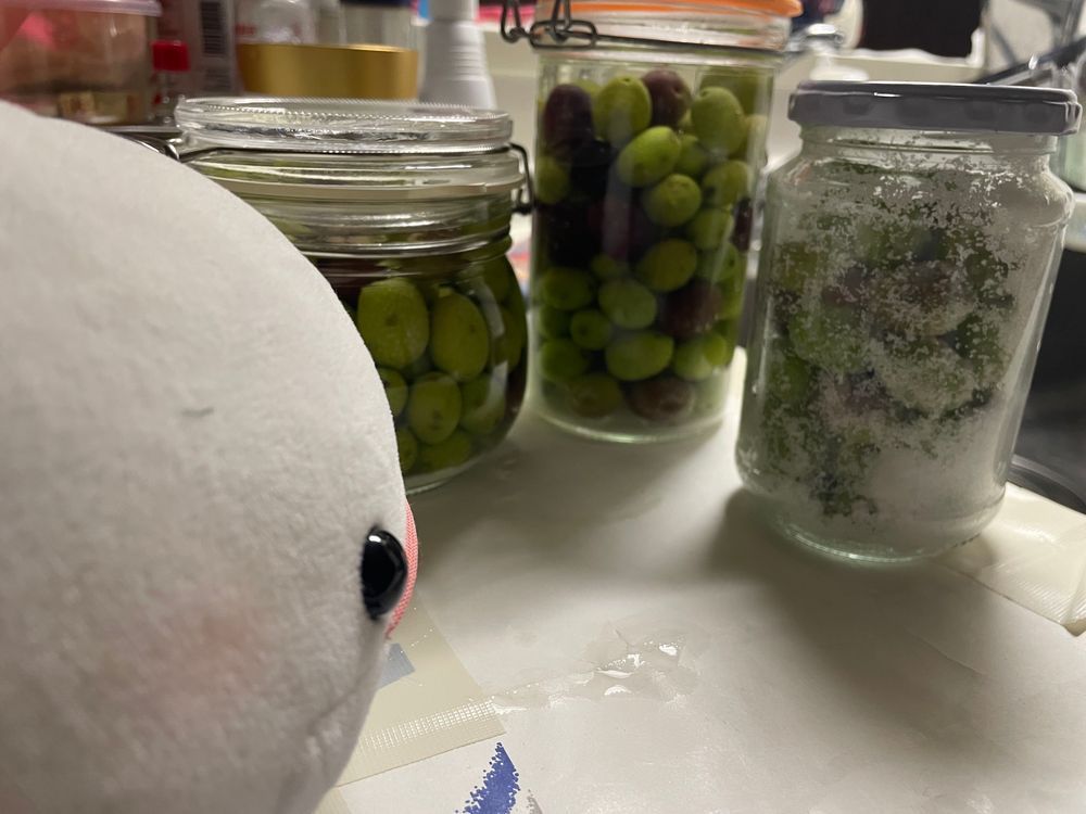 ゆのがまたフリマアプリでなんかわからないのを買ってたの。
お水に付けとくとお水が茶色になるんだって。食べれるまで2ヶ月くらいかかるとか言ってるの
さめこおねぇちゃんが「そんなに時間かかるの？早く食べようよ」ってゆのに文句言ってたよ