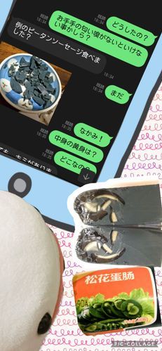ちょっとぴーしゃんと中国クオリティの話してたから、べるさん昔のお写真探してきたよ！
お土産でもらったピータンのソーセージみたいな形したやつなんだけど、おかーさまと半分ずっこしたの。
左はおかーさまが見せてくれたお写真で黄身いないの！
右はゆのが縦半分に切ってみたら端っこにちょっとだけいたやつ！！
とーちゃんがすごーーーくしょんぼりして大変だったの。
一番騙された食べ物だったの！！！