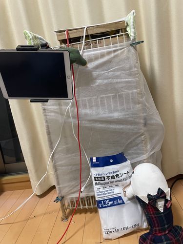 べるさんまたぼんじり災害にあったの!!
頭の上緑色になってひどい目にあったの!!!べるさん今日頭洗われたし!干されたし!!ぼんじりゆるさないの!!!
だからべるさんね、ゆのに頼んでべるさん農園にカバー付けてもらうことになったの!
「防鳥」って袋にかいてあるから絶対ぼんじりも入れないってことだよね?
これで安心なの!!!