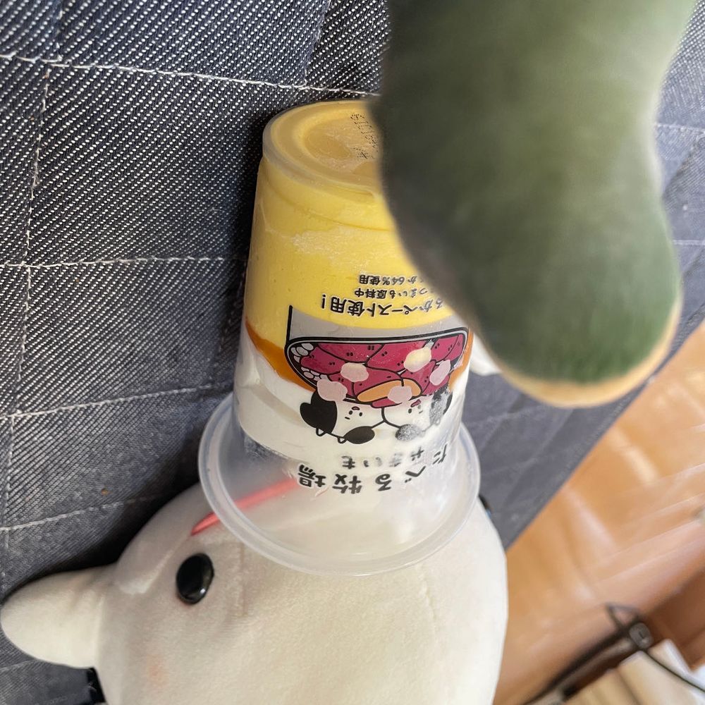 ぼんじり許すまじ！なの！！って怒ってたらゆのがアイス買ってくれたの！！
ぼんじりにちょうだいって言われたけど、絶対あげないの！！これはべるさんのなの！！！！！