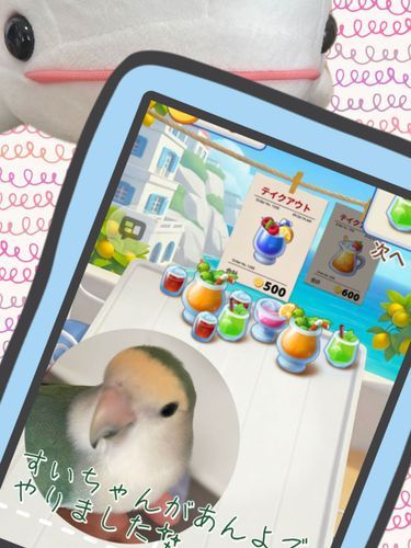 昨日からぼんじりがイタズラしていろんな所に被害が出てるの。
ゆののスマホとべるさんのiPadに乗って、LINEに謎の文章送ってみたり、広告のゲームの音が楽しくて遊んでみたり、LINE電話かけてみたり…
べるさんもふわもこのコメント勝手におされたり、フォロー外されてたりしたの!!
ぼんじりのあんよ、なんで人間さんの指と同じって思われるんだろう?べるさんなんかペン使ってるのにずるいの!!!!