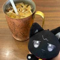 きまぐれぅょにゃ🐈‍⬛