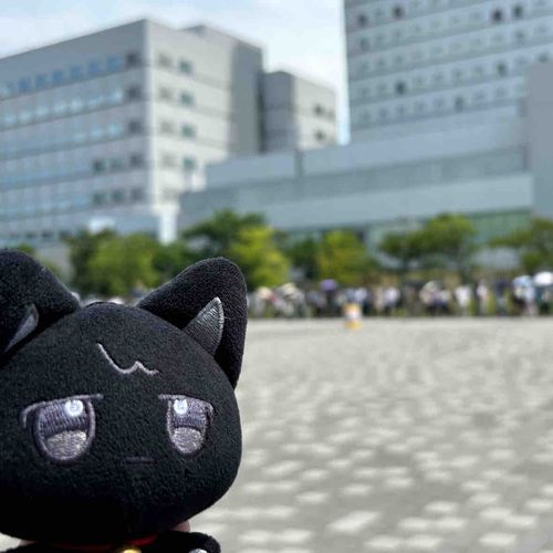 とおいひの、きおく