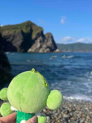 海きれいだねー