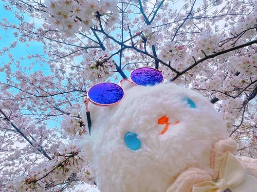 みずいろと　しろと　ぴんく🌸