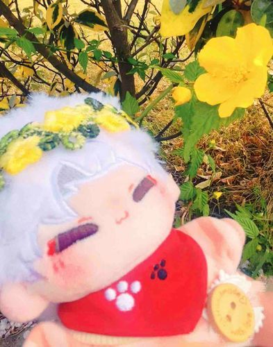 このお花で花冠をつくろう🌼
