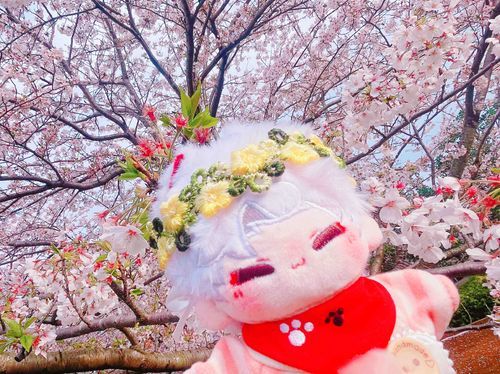 タイムラインも桜で満開になる春、すき🌸
